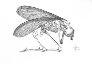 Insectoid, 3