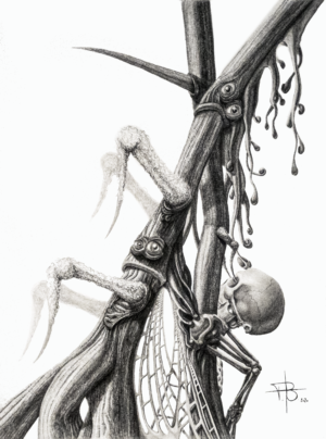 Odd Nature