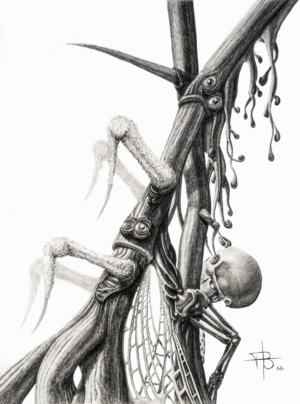 Odd Nature