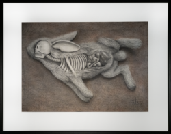 Pencil drawing of a surreal anatomical rabbit revealing its skeletal structure and organs on a textured brown background.
