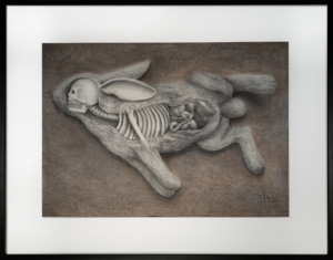 Pencil drawing of a surreal anatomical rabbit revealing its skeletal structure and organs on a textured brown background.