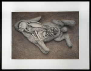 Pencil drawing of a surreal anatomical rabbit revealing its skeletal structure and organs on a textured brown background.