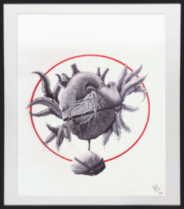 Anatomical heart wrapped in rope attached to a stone with large feathers, framed by a red circle on a white background.